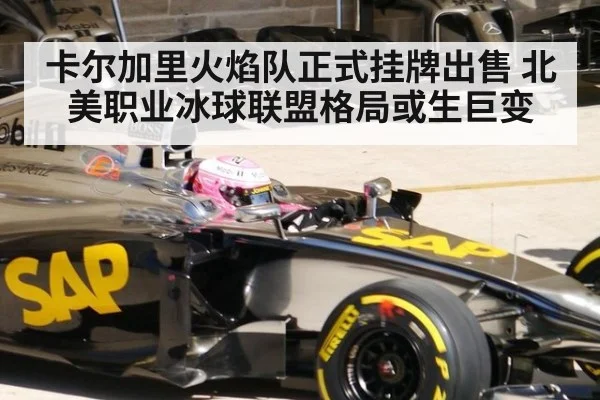 卡尔加里火焰队正式挂牌出售 北美职业冰球联盟格局或生巨变