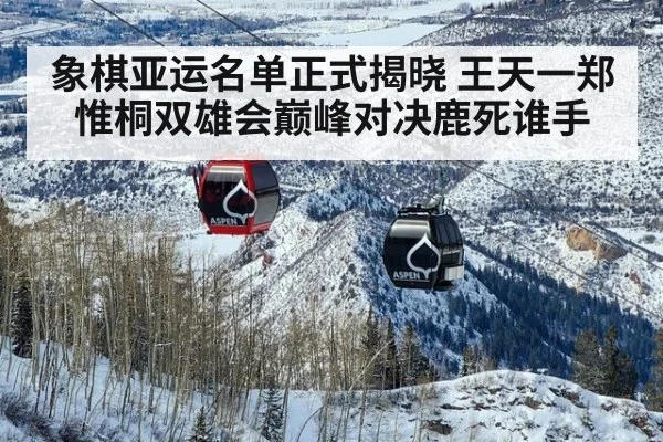 象棋亚运名单正式揭晓 王天一郑惟桐双雄会巅峰对决鹿死谁手